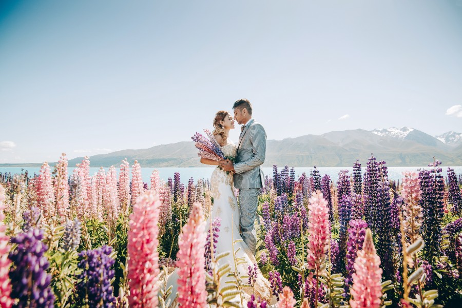 New Zealand Spring Arrowtown Lupins Prewedding Photoshoot  by Mike on OneThreeOneFour 0
