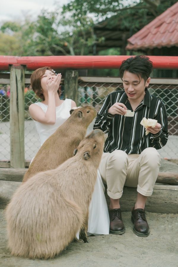 Taiwan Outdoor Pre-Wedding Photoshoot At Tainan Zoo  by Star  on OneThreeOneFour 1