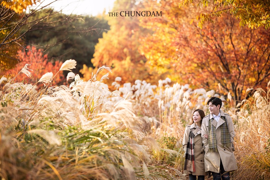 2018 Seasonal Album by Chungdam Studio on OneThreeOneFour 27