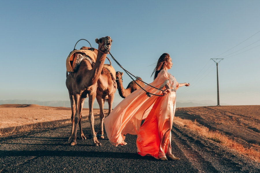 Morocco Surprise Proposal And Casual Couple Photoshoot At Agafay Desert by AW on OneThreeOneFour 14