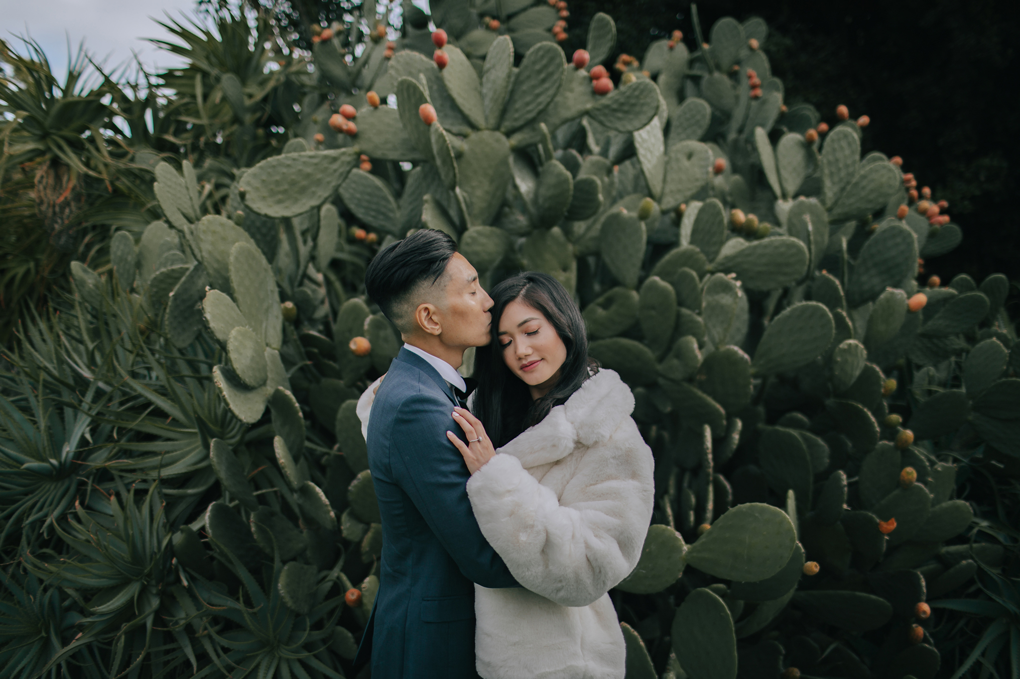 Melbourne Pre-Wedding Photoshoot in Royal Botanical Gardens & Redwood Forest by Freddie on OneThreeOneFour 4