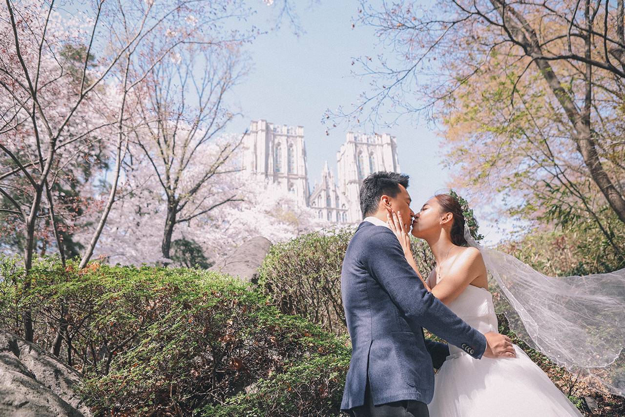 Korea Cherry Blossom Pre-Wedding Photoshoot At Seoul Forest And Kyunghee University  by Beomsoo on OneThreeOneFour 9