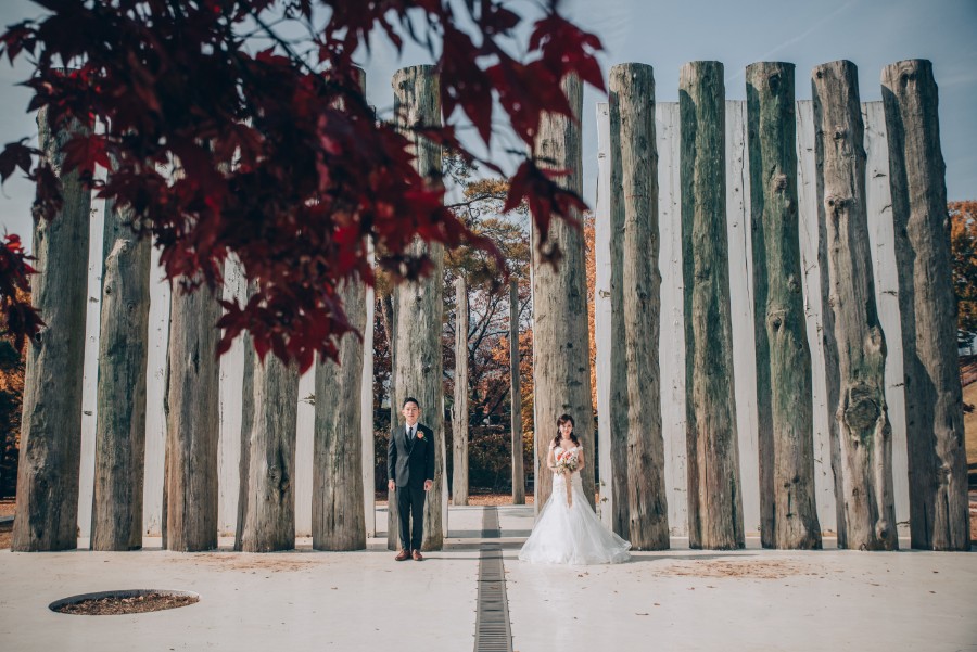 C&S: Korea Autumn Pre-Wedding at Hanuel Park with Pink Muhly Grass by Jongjin on OneThreeOneFour 5