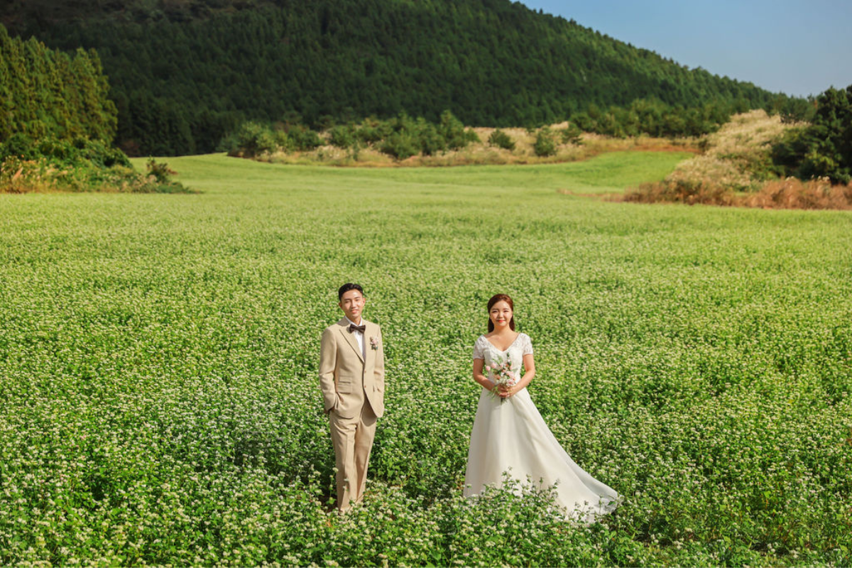 Jeju Autumn Prewedding Photoshoot At Jeju Manor Blanc, Pink Muhly Garden And Sanyi Forest Road by Byunghyun on OneThreeOneFour 12