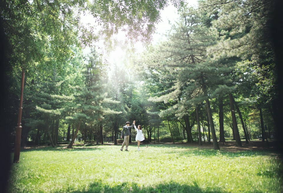 Korea Pre-Wedding Photography in Studio & Dosan Park, Seoul - 2016 Sample by May Studio on OneThreeOneFour 27