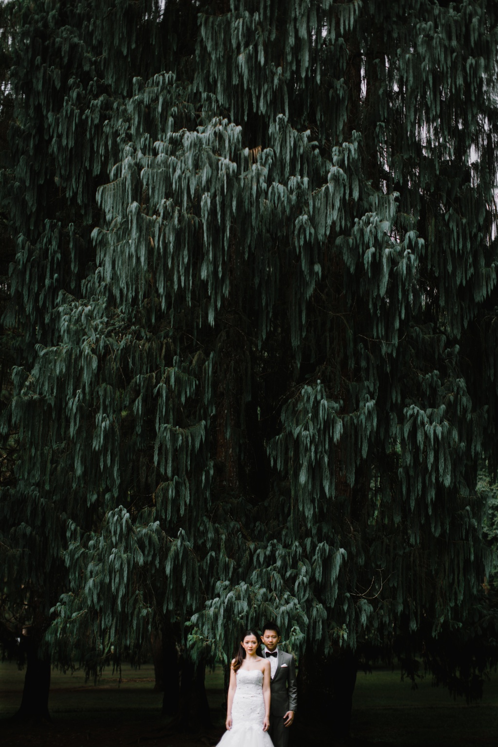 峇里島婚紗拍攝 ：Tamblingan湖泊和森林 by Hendra on OneThreeOneFour 16