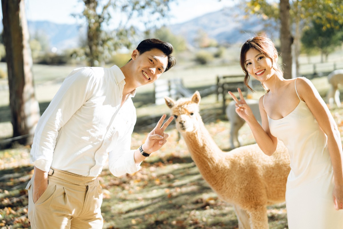 New Zealand Autumn Pre-Wedding Photoshoot Twin Peak Skippers Canyon Alpaca Farm Hilltop Cardrona Night Shoot Kombi Van by Fei on OneThreeOneFour 28