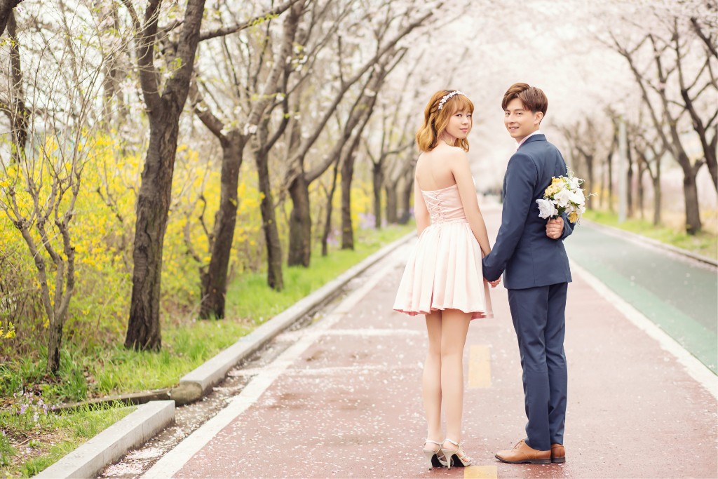 [Client Sample] Cherry Blossoms + Indoor Studio by Gaeul Studio on OneThreeOneFour 7
