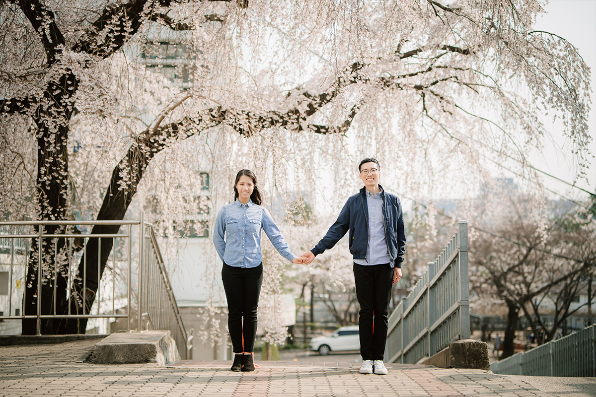 City in Bloom: Romantic Pre-Wedding Photoshoot Amidst Seoul's Blossoming Beauty by Jungyeol on OneThreeOneFour 28