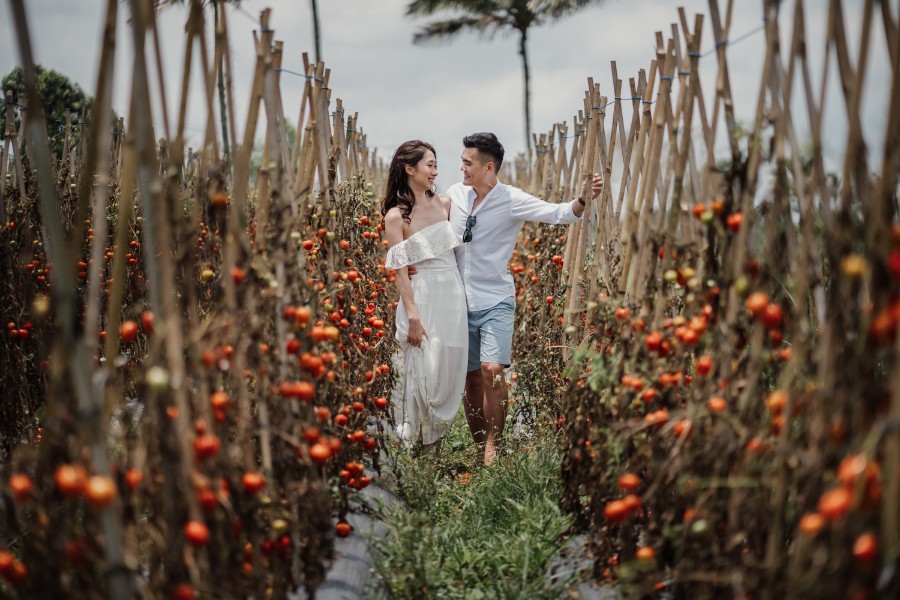 B&R: Pre-wedding photoshoot at Mount Batur Pinggan, Kintamani Lava Field, flower field and Mengening Beach by Hendra on OneThreeOneFour 16