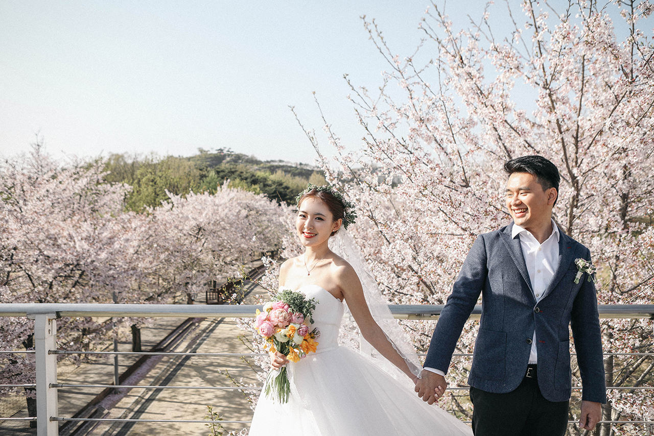 Korea Cherry Blossom Pre-Wedding Photoshoot At Seoul Forest And Kyunghee University  by Beomsoo on OneThreeOneFour 16