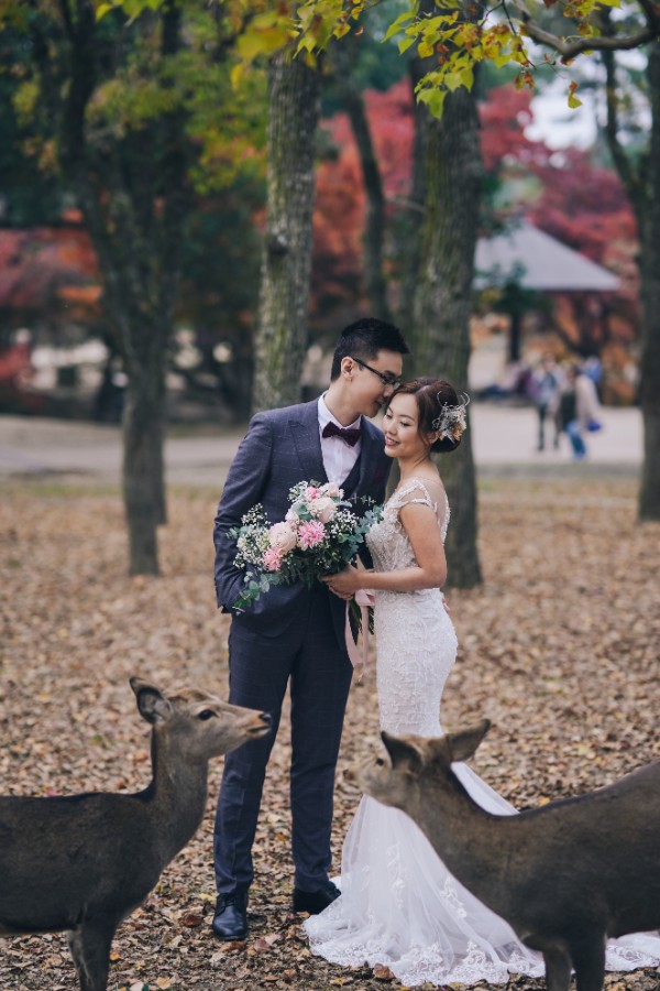 A&R: Kyoto Autumn Pre-wedding Photoshoot by Jia Xin on OneThreeOneFour 14