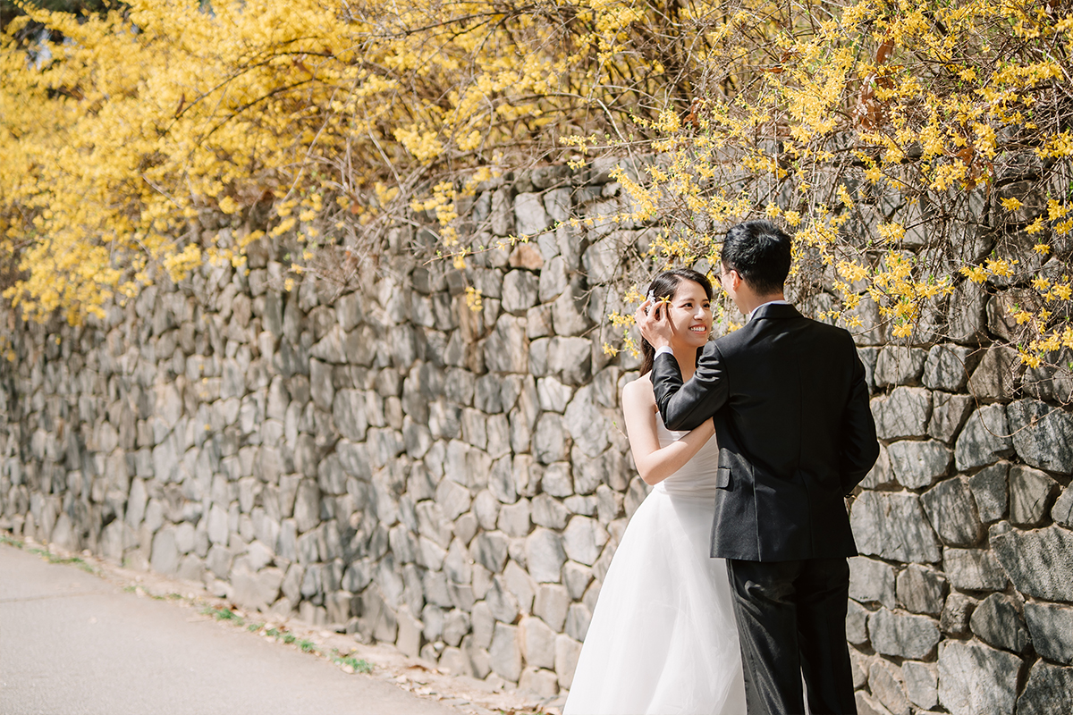 City in Bloom: Romantic Pre-Wedding Photoshoot Amidst Seoul's Blossoming Beauty by Jungyeol on OneThreeOneFour 15