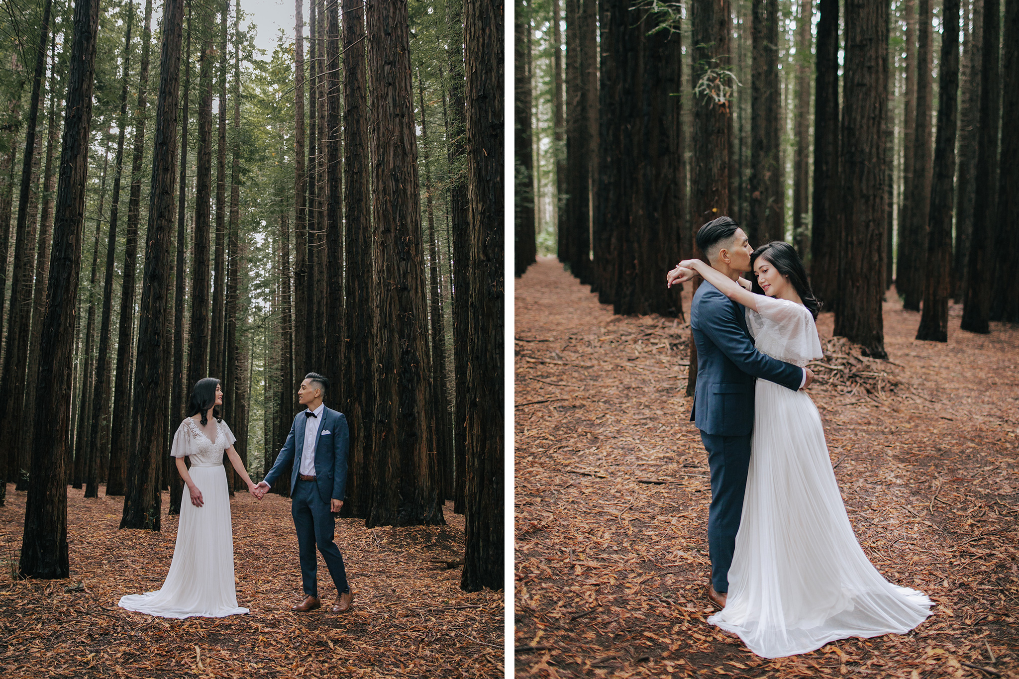 Melbourne Pre-Wedding Photoshoot in Royal Botanical Gardens & Redwood Forest by Freddie on OneThreeOneFour 23