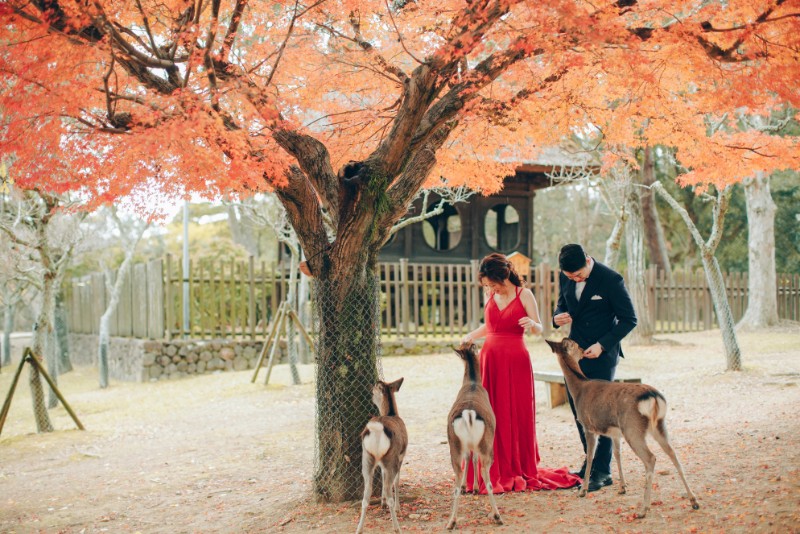 V&H: Kyoto Autumn Pre-wedding Photoshoot at Nara Park and Railway Tracks by Kinosaki on OneThreeOneFour 3