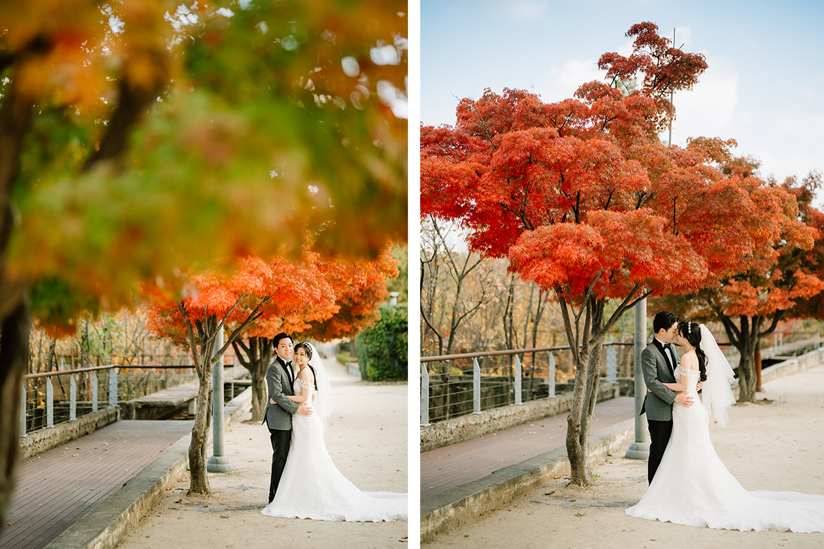 Korea Seoul Autumn Pre-Wedding Photoshoot with Silvergrass at Hanuel Park & Seonyudo Park by Jungyeol on OneThreeOneFour 24