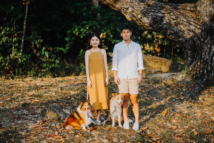 Singapore Pre-Wedding Photoshoot At Lower Peirce Reservoir With Puppies by Charles on OneThreeOneFour 16