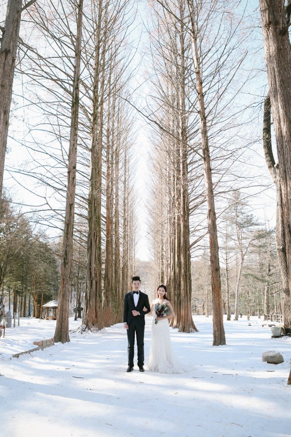 Korea Winter Pre-Wedding Photoshoot At Nami Island by Beomsoo on OneThreeOneFour 6