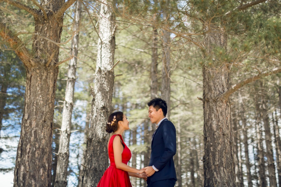 紐西蘭婚紗拍攝 - 蒂卡波與普卡基湖 by Xing on OneThreeOneFour 13