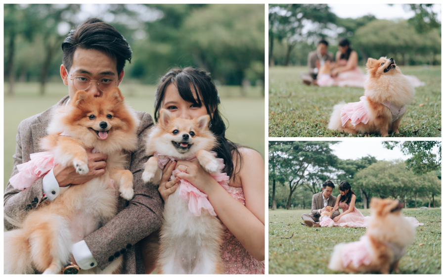 Singapore Pre-Wedding Photoshoot With Couple And Their Dogs At Bishan Park And Night Shoot At MBS by Michael on OneThreeOneFour 1