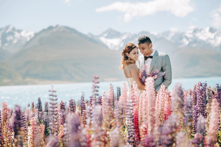 New Zealand Spring Arrowtown Lupins Prewedding Photoshoot  by Mike on OneThreeOneFour 1