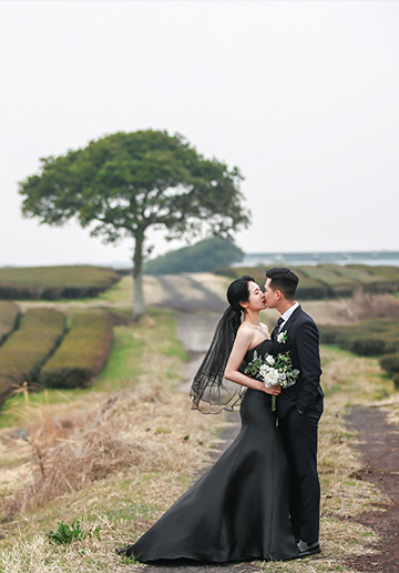 Captivating Moments: Pre-Wedding Photoshoot at Jeju Island's Isidore Farm, Famous Lone Tree, and Enchanting Beach