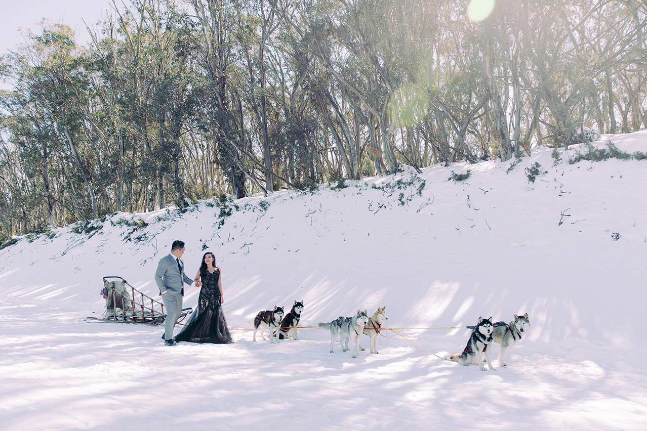 Winter Pre-Wedding Photoshoot with Huskies in Melbourne  by Freddie on OneThreeOneFour 2