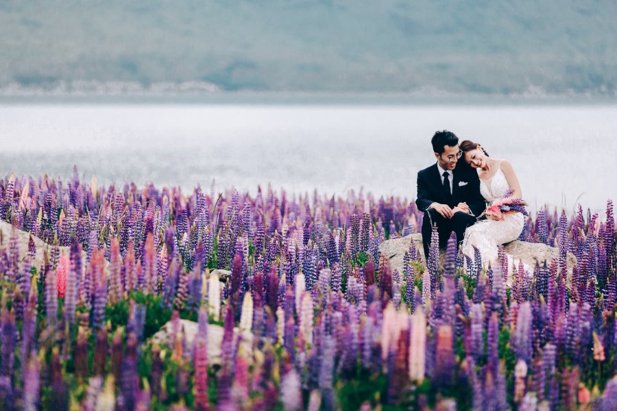 J&J: Pre-wedding at Christchurch Botanic Gardens, snowy mountain and purple lupins by Xing on OneThreeOneFour 9