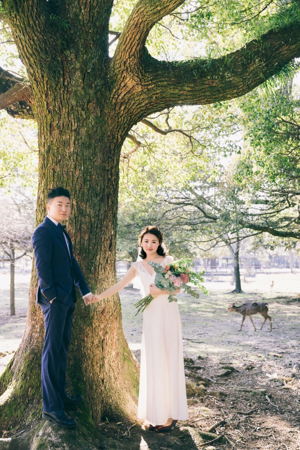 Japan Pre-Wedding Photoshoot At Nara Deer Park  by Jia Xin  on OneThreeOneFour 13