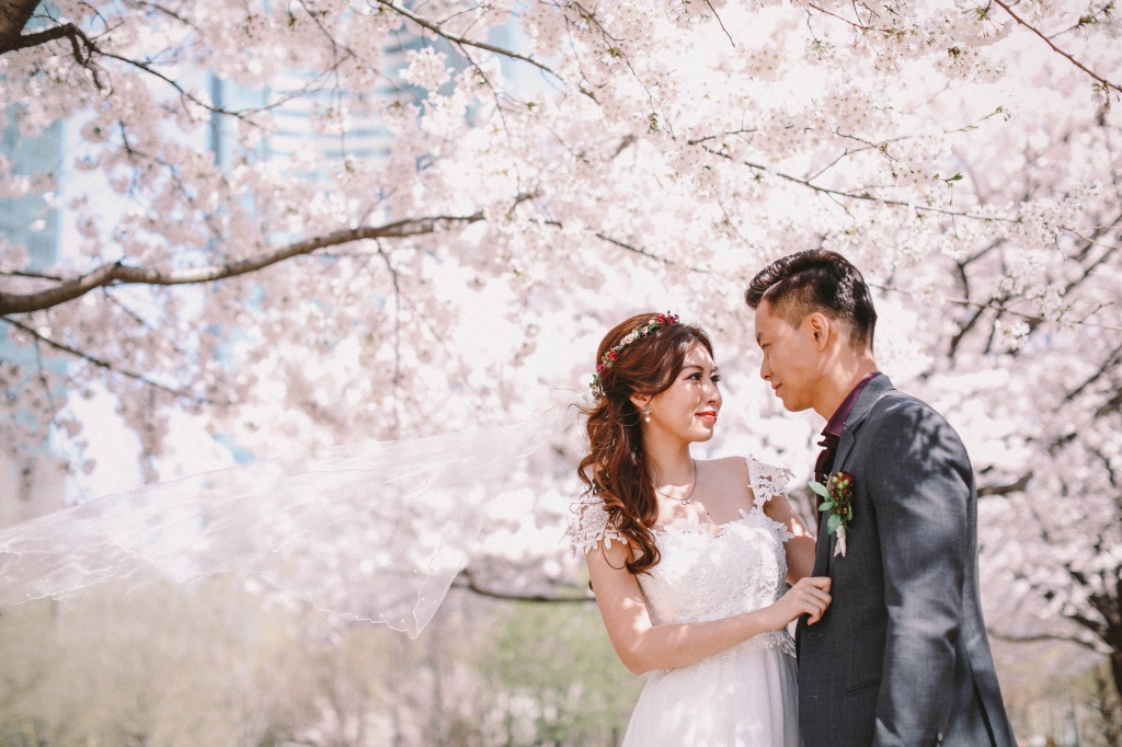 Korea Cherry Blossom Pre-Wedding Photoshoot At Seoul Forest  by Beomsoo on OneThreeOneFour 9