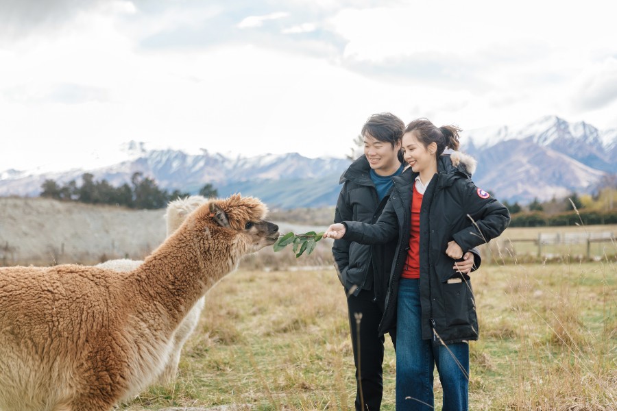 W&J: Pre-wedding in Spring with cherry blossom and snow by Fei on OneThreeOneFour 10