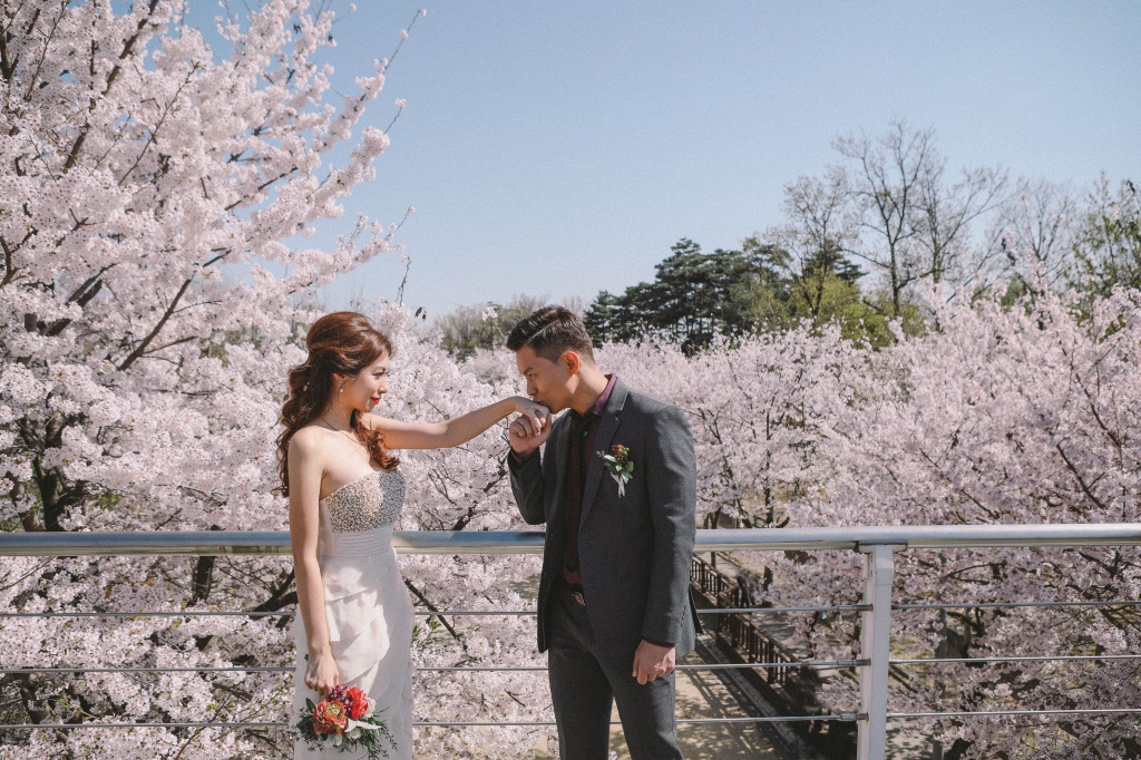 Korea Cherry Blossom Pre-Wedding Photoshoot At Seoul Forest  by Beomsoo on OneThreeOneFour 12