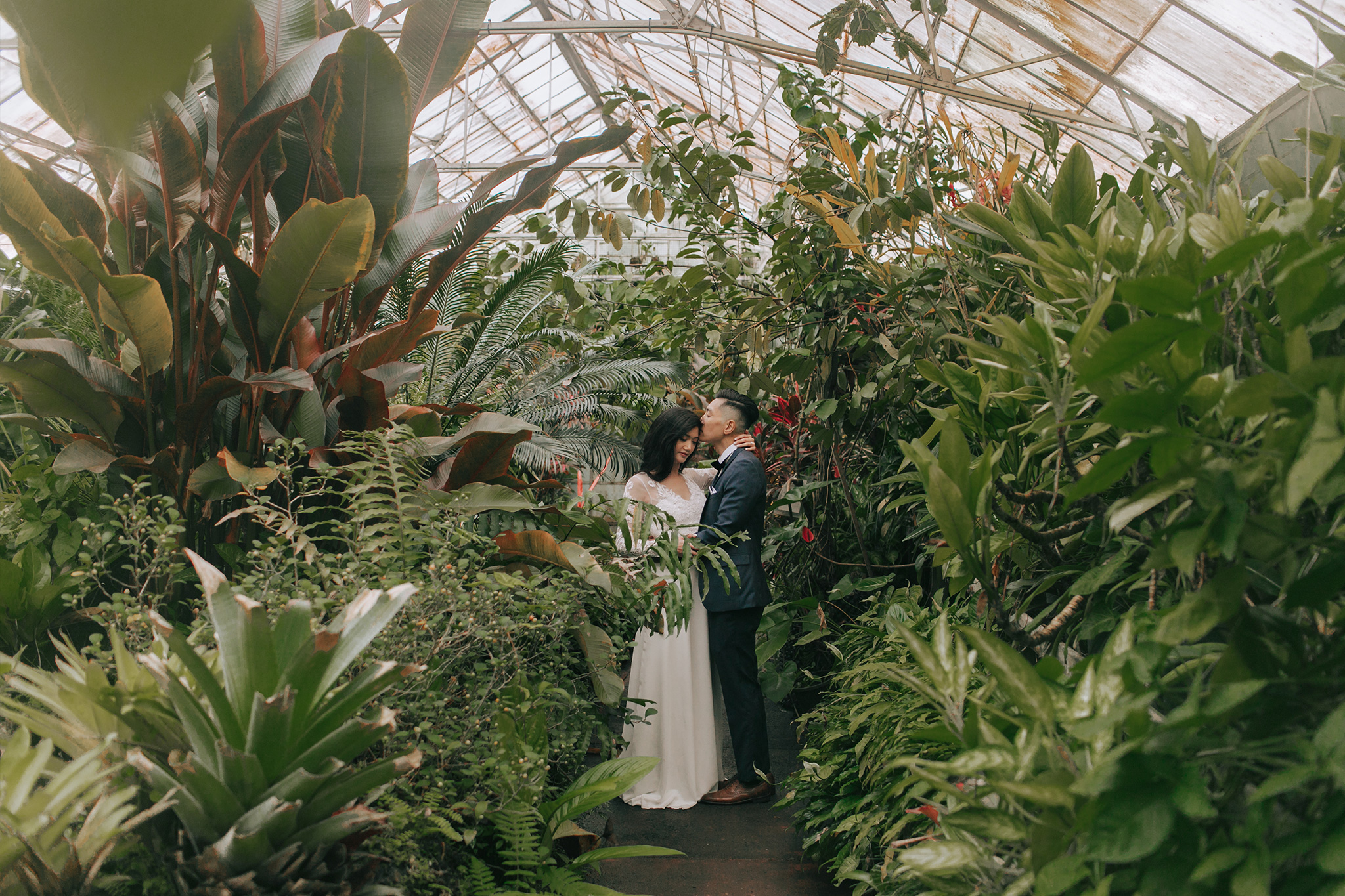 Melbourne Pre-Wedding Photoshoot in Royal Botanical Gardens & Redwood Forest by Freddie on OneThreeOneFour 10