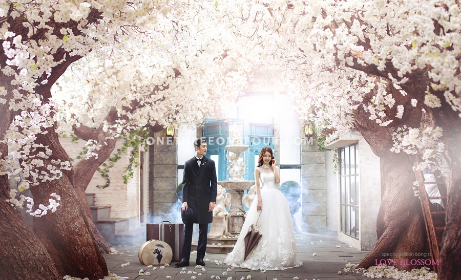 2016 Studio Bong Korea Pre-Wedding Photography - Love Blossom  by Bong Studio on OneThreeOneFour 4