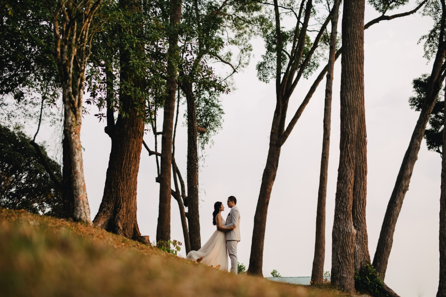 Singapore Prewedding Photoshoot At MacRitchie Reservoir And Marina Bay Sands Night Shoot  by Cheng on OneThreeOneFour 9