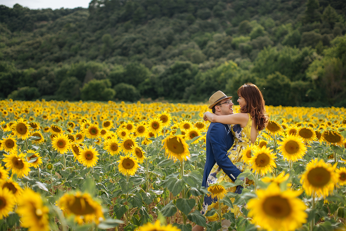 The Perfect Southern France Provence Pre-Wedding Photoshoot with Lavenders & Sunflowers by Vin on OneThreeOneFour 1