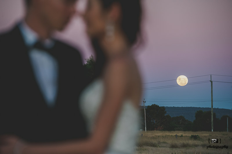 Post-Wedding Session at Caversham | Perth Wedding Photographer by iZO Photography on OneThreeOneFour 21