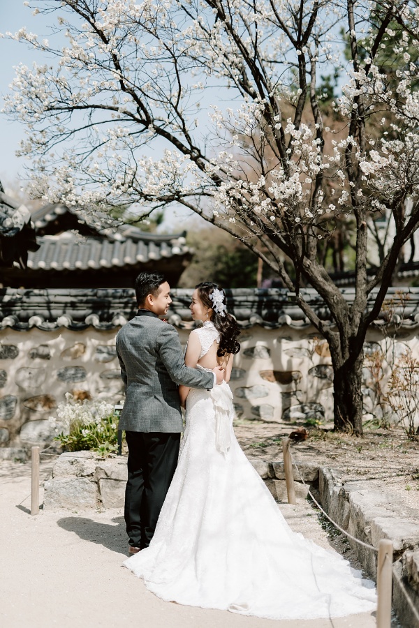 T&J: Korea Cherry Blossom Pre-wedding Photoshoot at Namsangol Hanok Village and Seoul Forest by Jungyeol on OneThreeOneFour 17