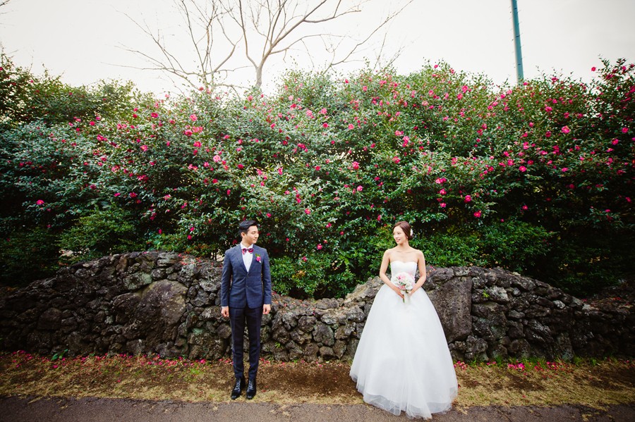 Jeju Island Pre-Wedding Photography in Camellia Hill by Ray on OneThreeOneFour 14