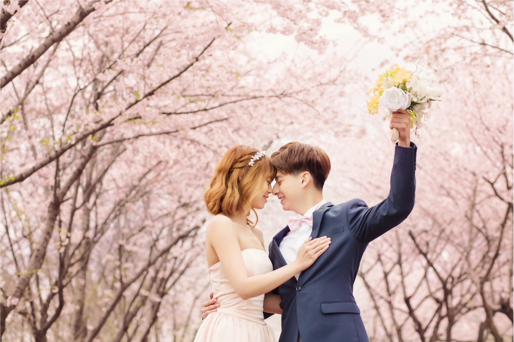 [Client Sample] Cherry Blossoms + Indoor Studio by Gaeul Studio on OneThreeOneFour 1
