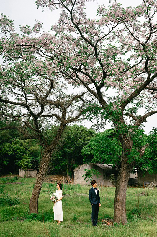 Korea Outdoor Pre-Wedding Photoshoot At Jeju Island with Buckwheat Flowers  by Gamsung   on OneThreeOneFour 11