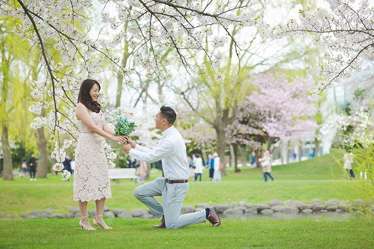 hokkaido casual wedding photoshoot cherry blossoms hokkaido university