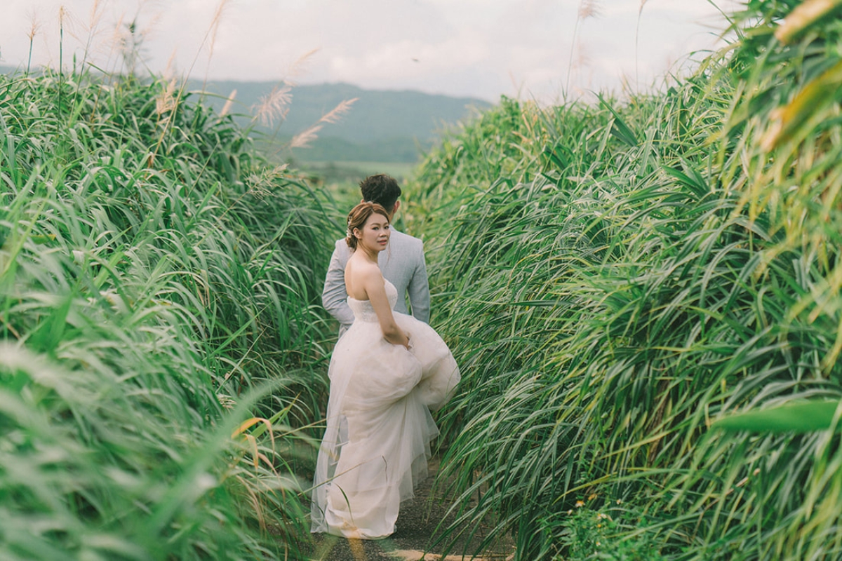 Taiwan Pre-Wedding Photoshoot Green Fields Silvergrass Sea Car Fairy Lights by  on OneThreeOneFour 13