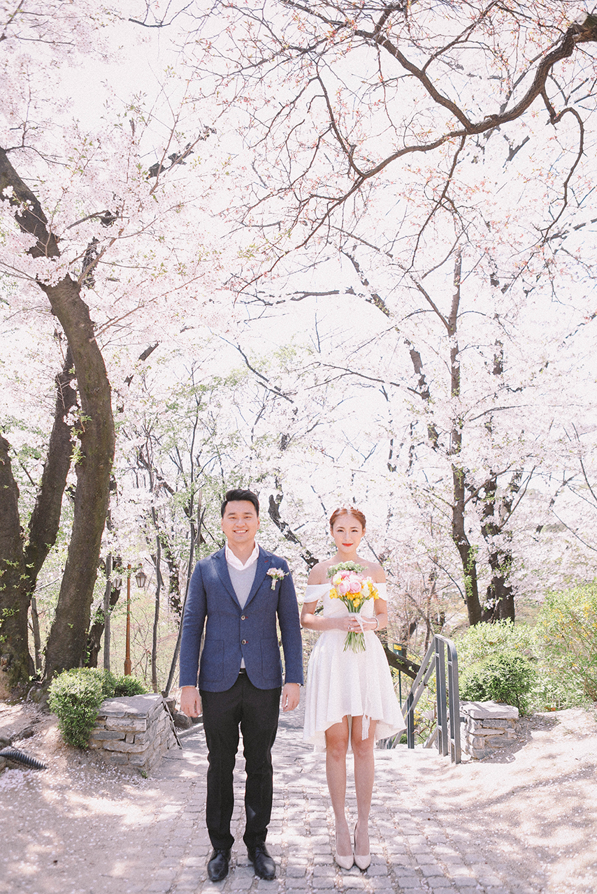 Korea Cherry Blossom Pre-Wedding Photoshoot At Seoul Forest And Kyunghee University  by Beomsoo on OneThreeOneFour 0