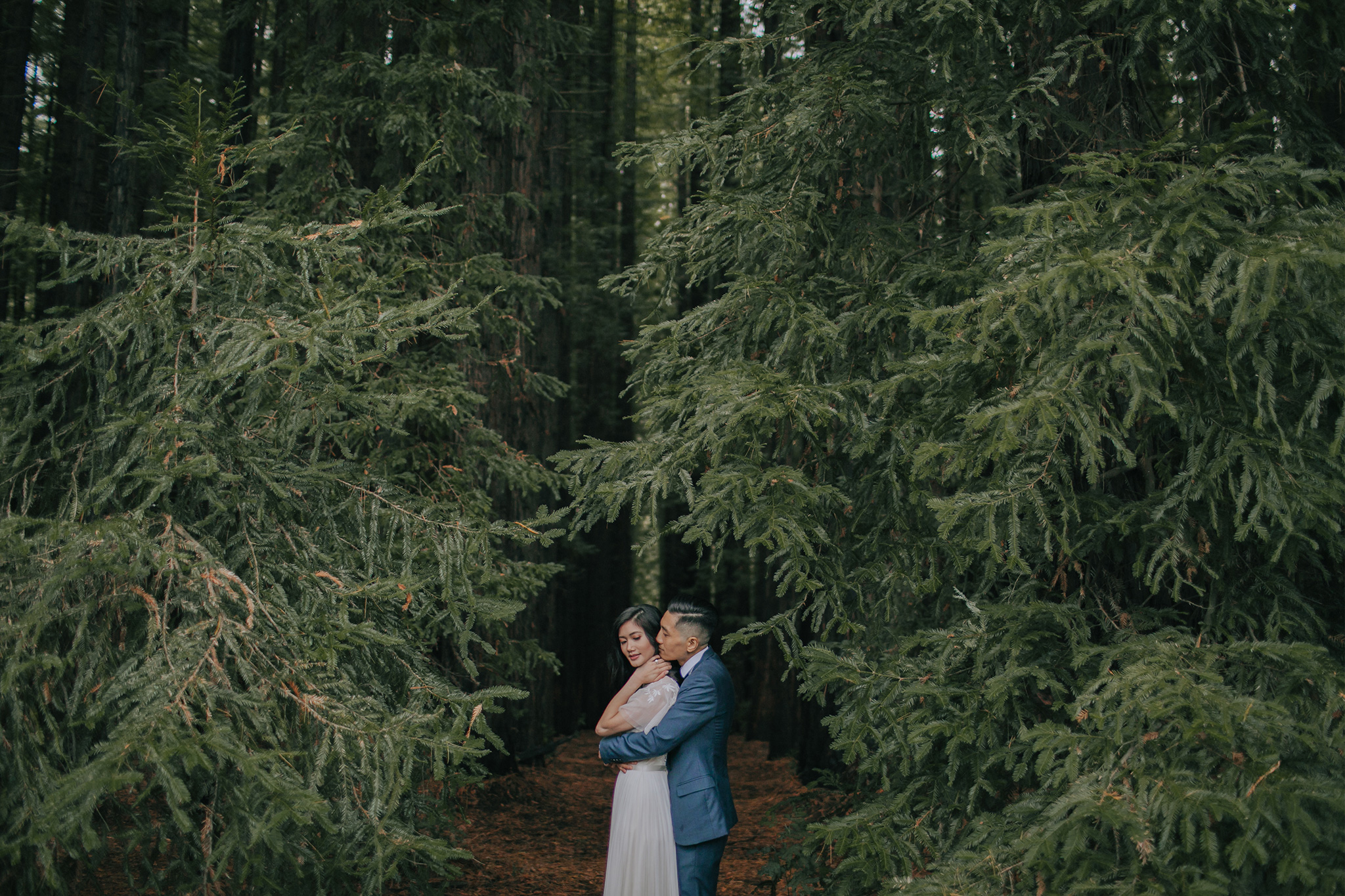 Melbourne Pre-Wedding Photoshoot in Royal Botanical Gardens & Redwood Forest by Freddie on OneThreeOneFour 18