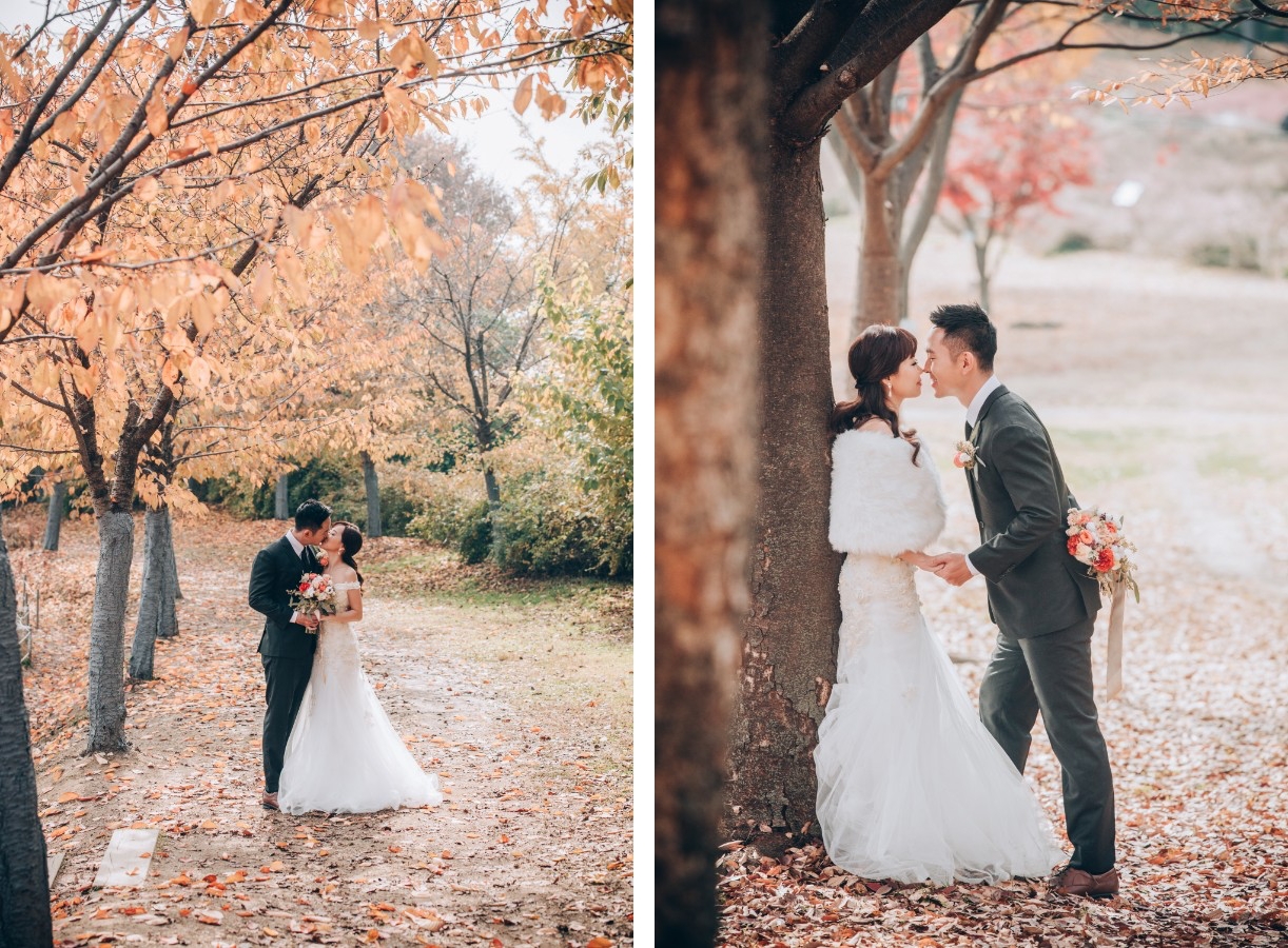 C&S: Korea Autumn Pre-Wedding at Hanuel Park with Pink Muhly Grass by Jongjin on OneThreeOneFour 1
