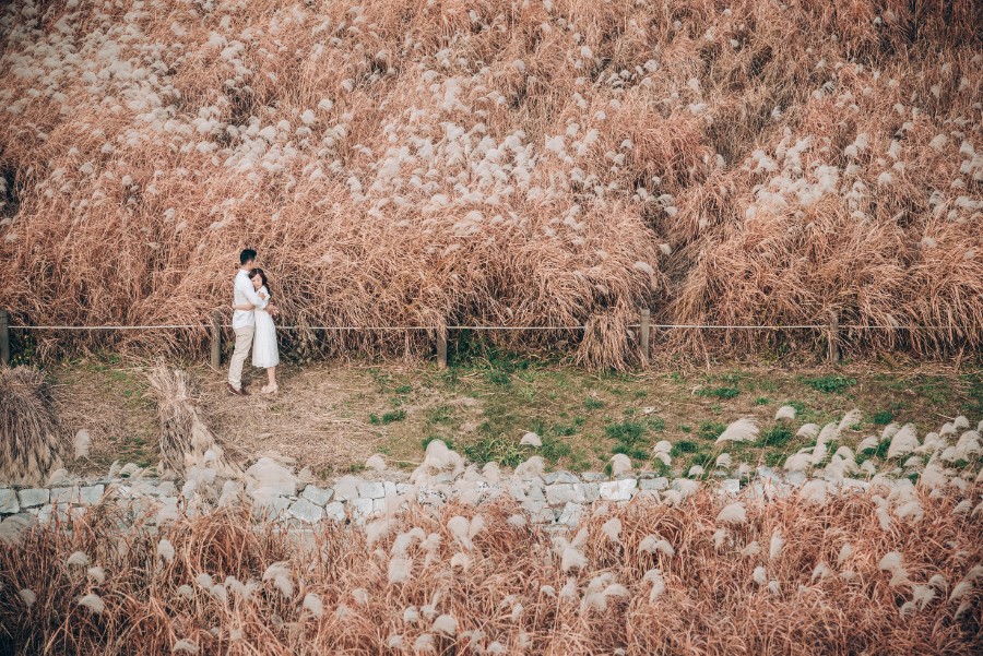C&S: Korea Autumn Pre-Wedding at Hanuel Park with Pink Muhly Grass by Jongjin on OneThreeOneFour 23