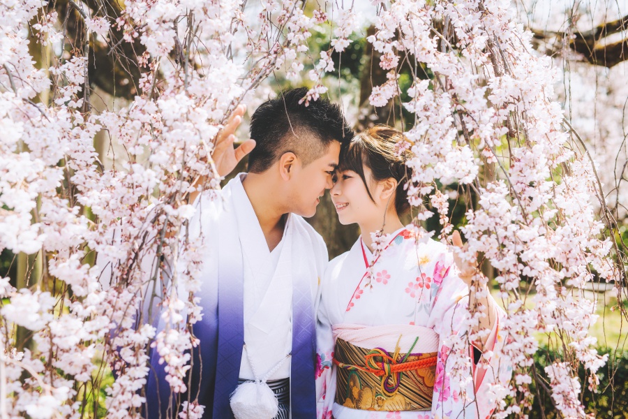 Japan Kyoto Kimono Photoshoot At Gion District During Cherry Blossom Season  by Shu Hao  on OneThreeOneFour 5