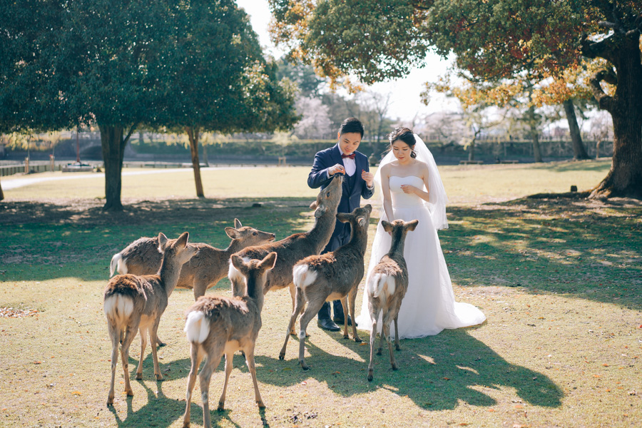 J&A: Kyoto Sakura Season Pre-wedding Photoshoot  by Kinosaki on OneThreeOneFour 29