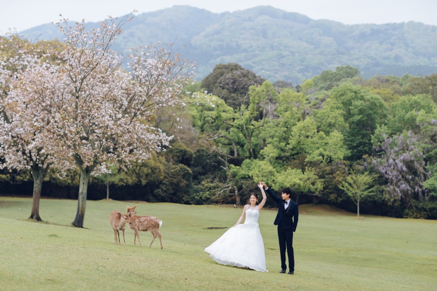 Blooms of Love: Aylsworth & Michele's Kyoto and Nara Spring Engagement by Kinosaki on OneThreeOneFour 16